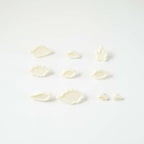 Mixed Leaves Cutters Set Of 10
