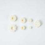 JEM Blumen Ausstechformen - Chrysanthemum Gänseblümchen und Blatt, Set aus 7