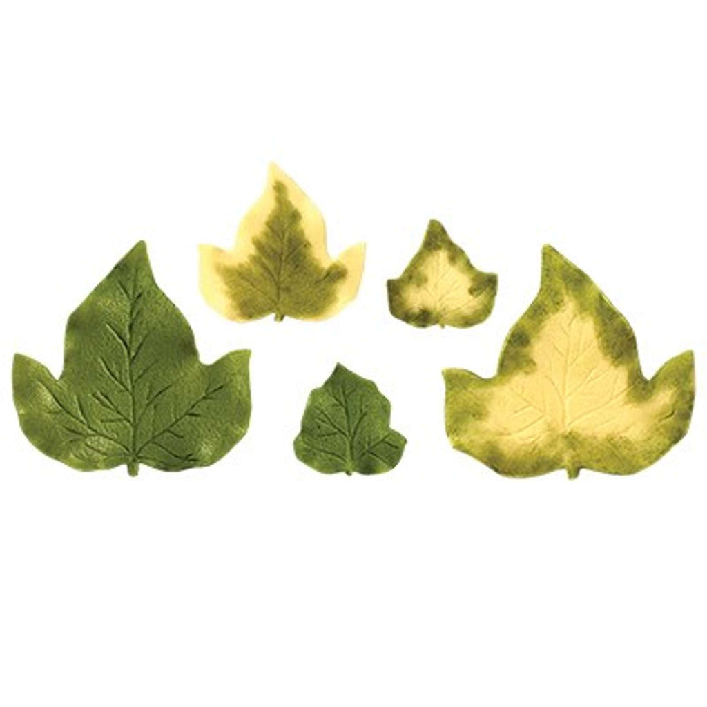 JEM Blad Snijders - Grote Klimop - Set van 4