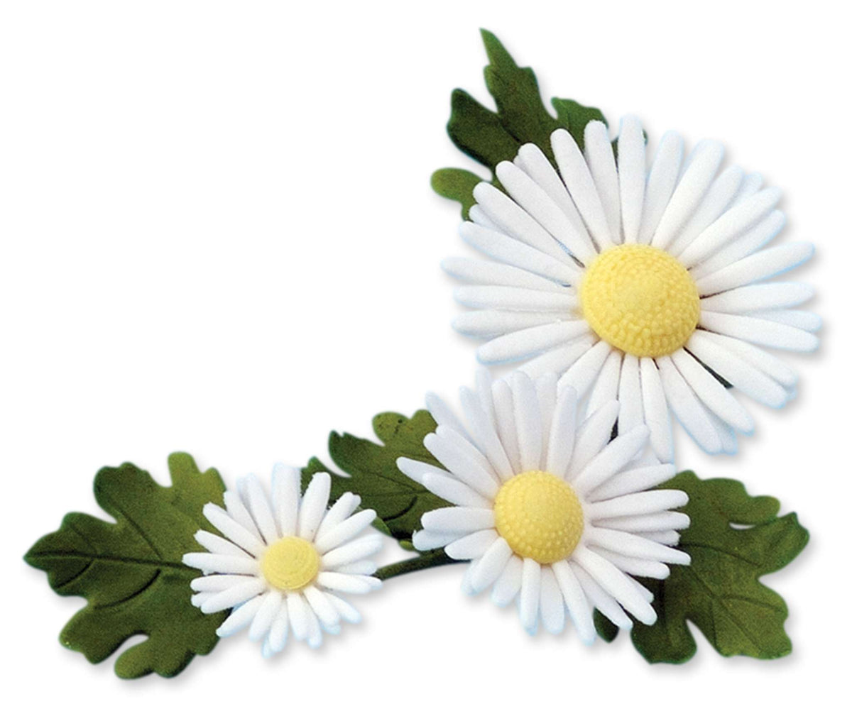 Daisy Centre Stamp Cutters Set Of 6