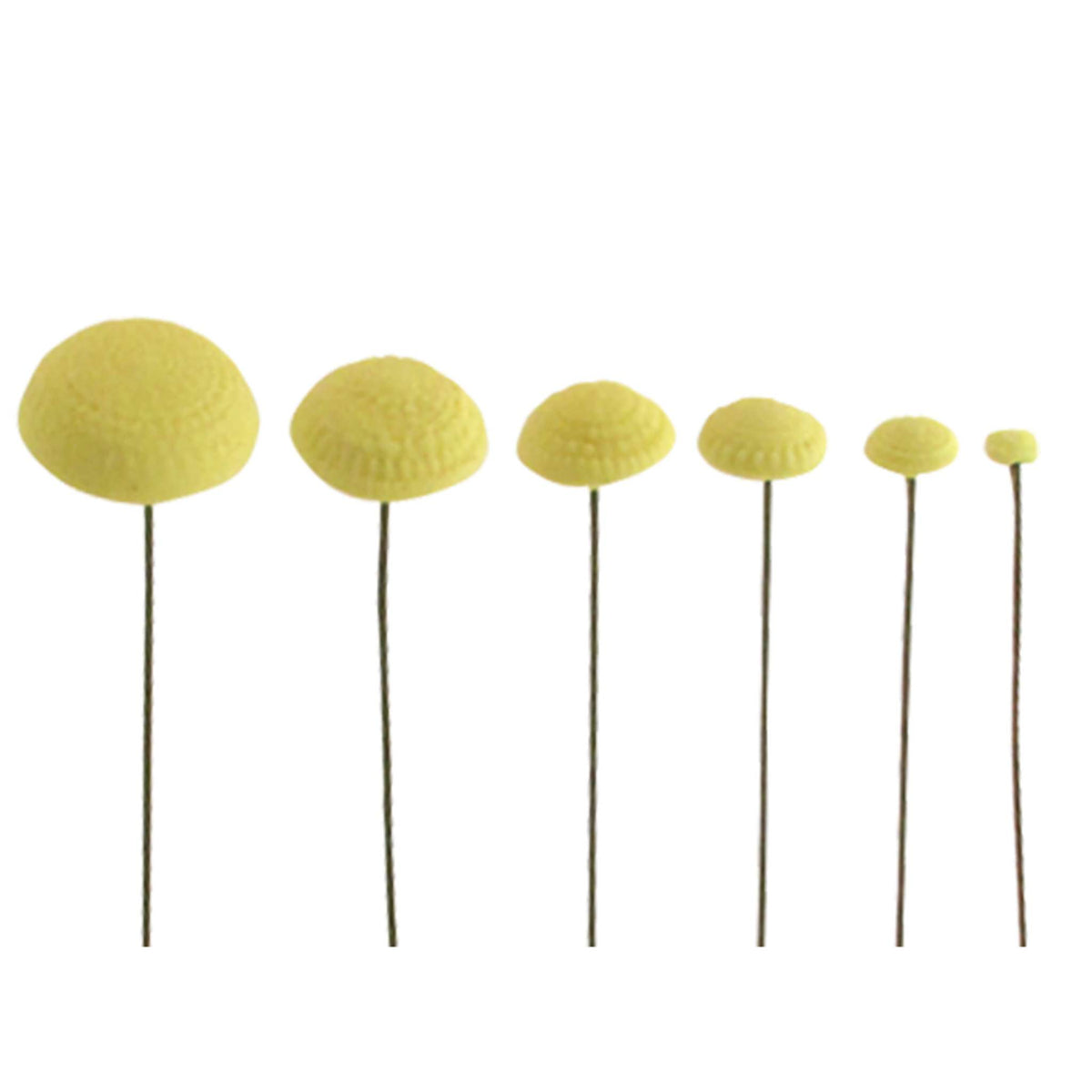 Daisy Centre Stamp Cutters Set Of 6