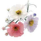 JEM Blumen Ausstechformen - Kosmos und Kelch, Set aus 2