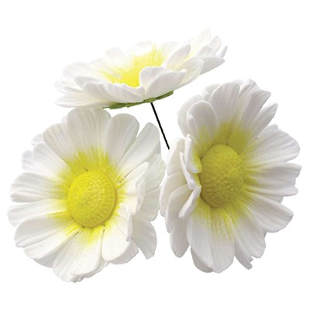 Eight Petal Daisy 50mm