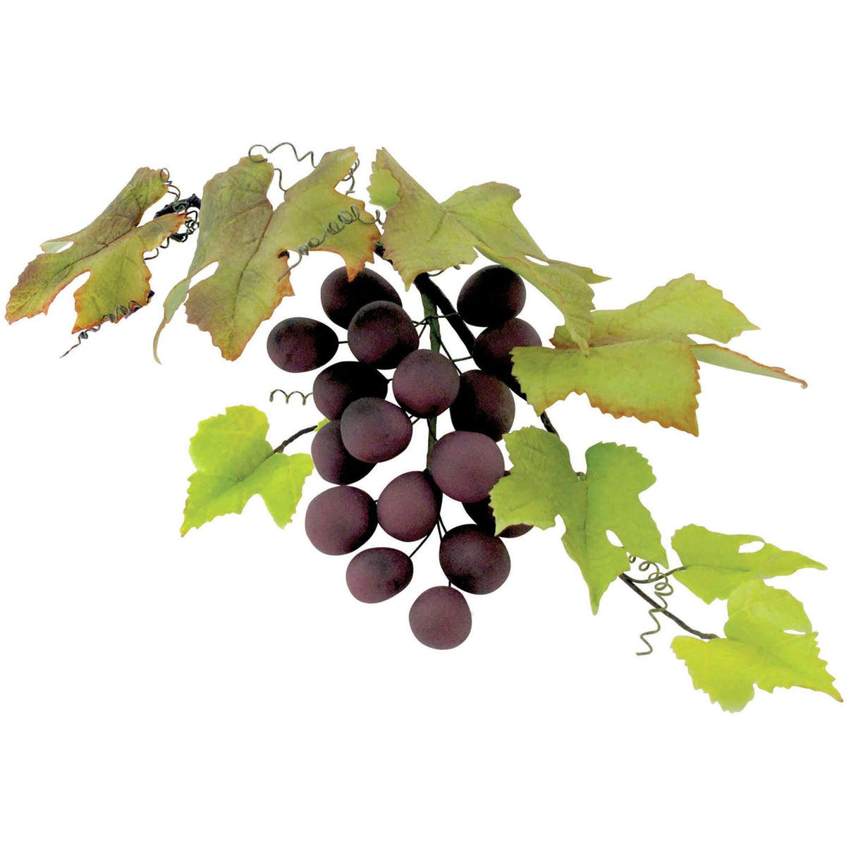JEM Laub Ausstechformen - Weinrebenblätter, Set aus 4