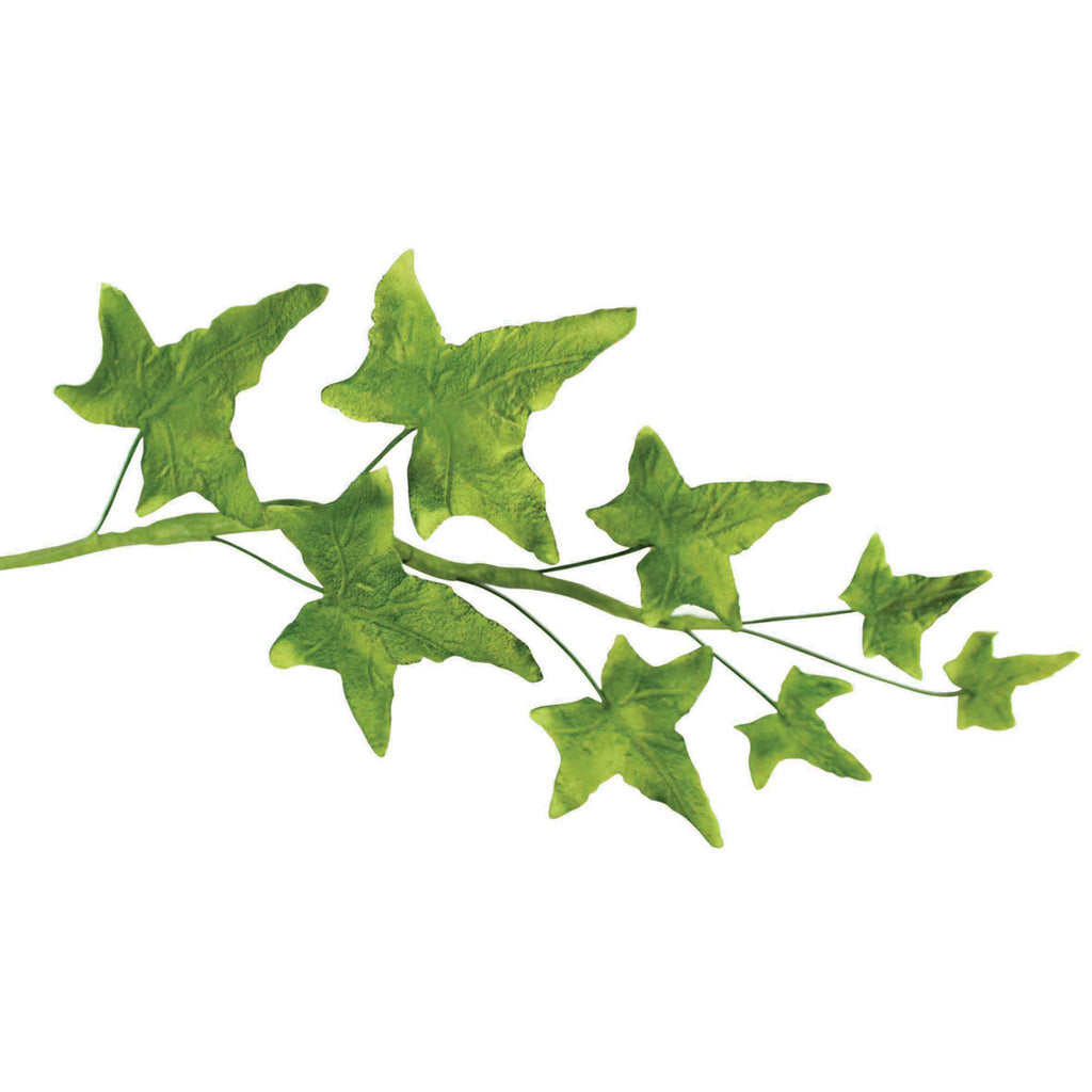 JEM Laub Ausstechformen - Spitze Efeu, Set aus 4