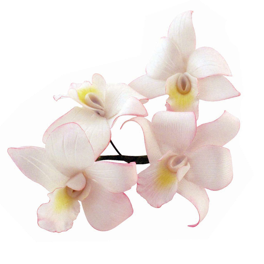 JEM Emporte-pièces Orchidée de Singapour, Ensemble de 5
