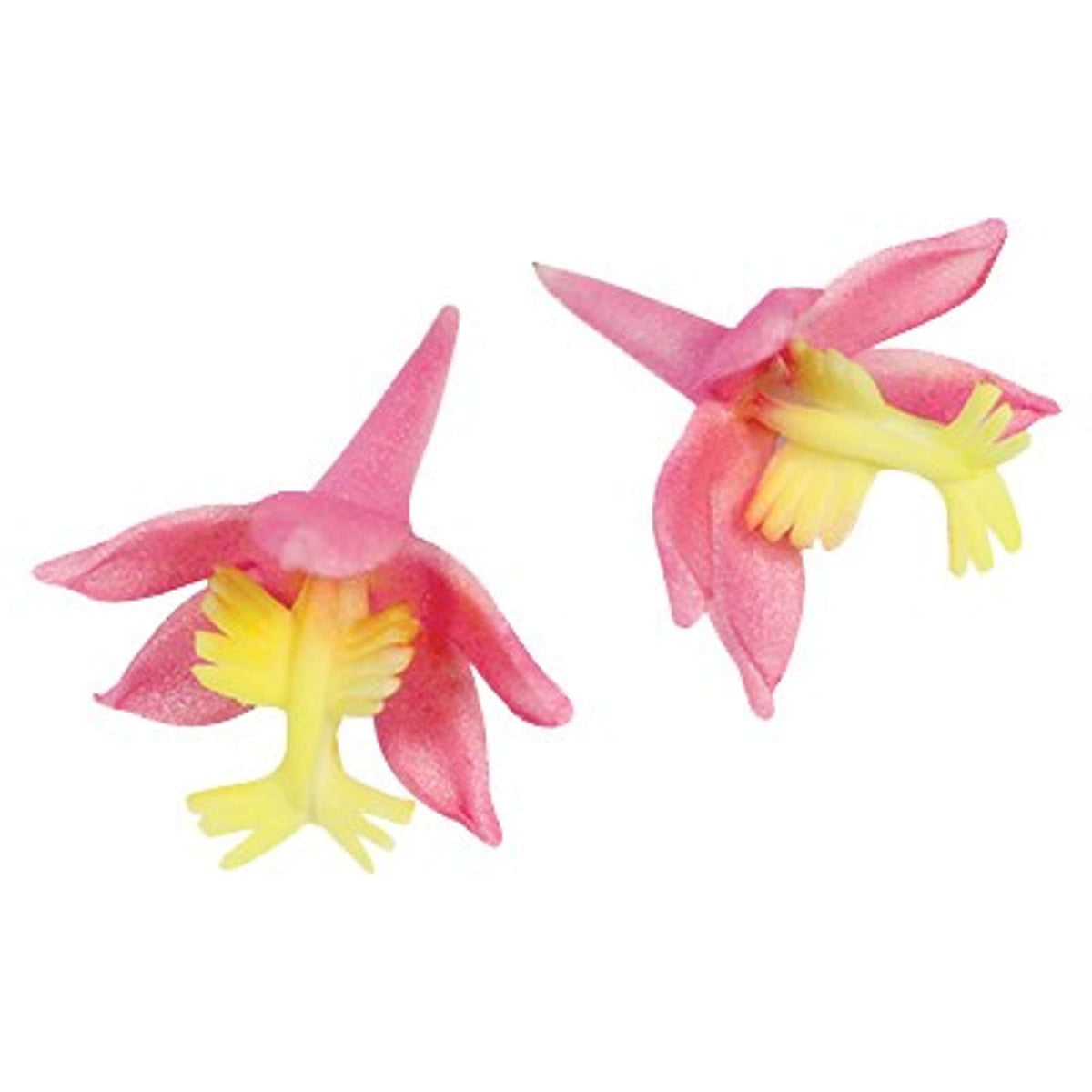 JEM Cortador de Orquídea, Set de 2 Piezas
