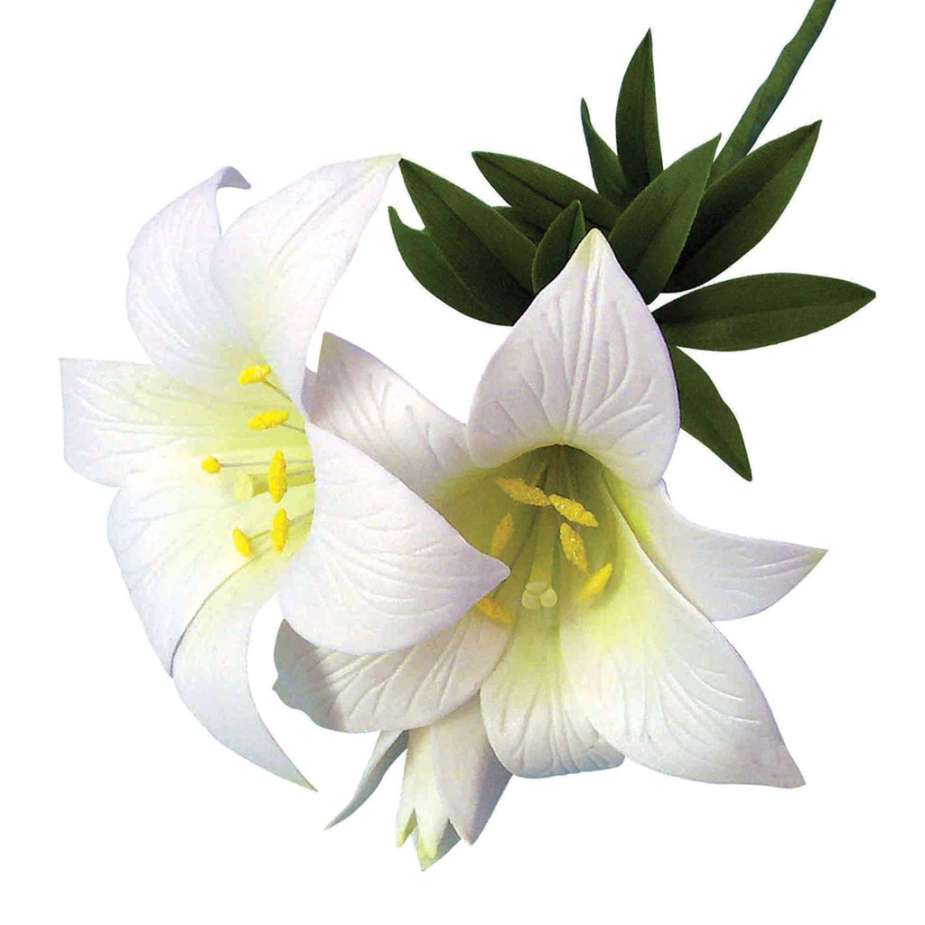 St Joseph's & Star Gazer Lily Cutters (Set Of 2)