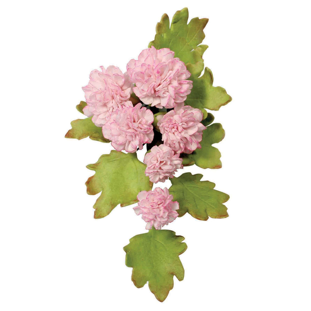 Cortadores de Flores - Clavel, Tamaño Pequeño, Mediano y Grande, Set de 3