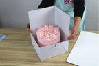 PME Make It Tall Cake Box Extender - Pack de 3