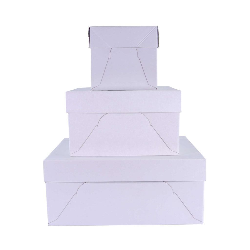 Boîte à gâteau Baking Essentials (178 x 178 x 152 / 7 x 7 x 6"), ensemble de 3