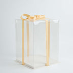 Crystal Cake Box - (200 x 200 x 280mm / 8 x 8 x 11")