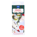 Christmas Fun Disposable Piping Bags Pk/12 (30cm / 12in)