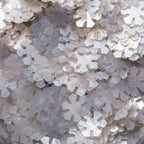 Paillettes Comestibles en Formes - Flocons de Neige (1g / 0,03oz)