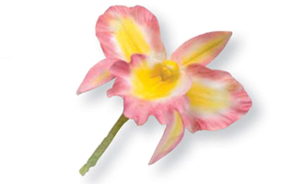 Edelstahl Ausstecher - Cattleya Orchidee, Set aus 3 Stück