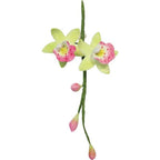 Small Cymbidium Orchid Fondant Cutters Set Of 2