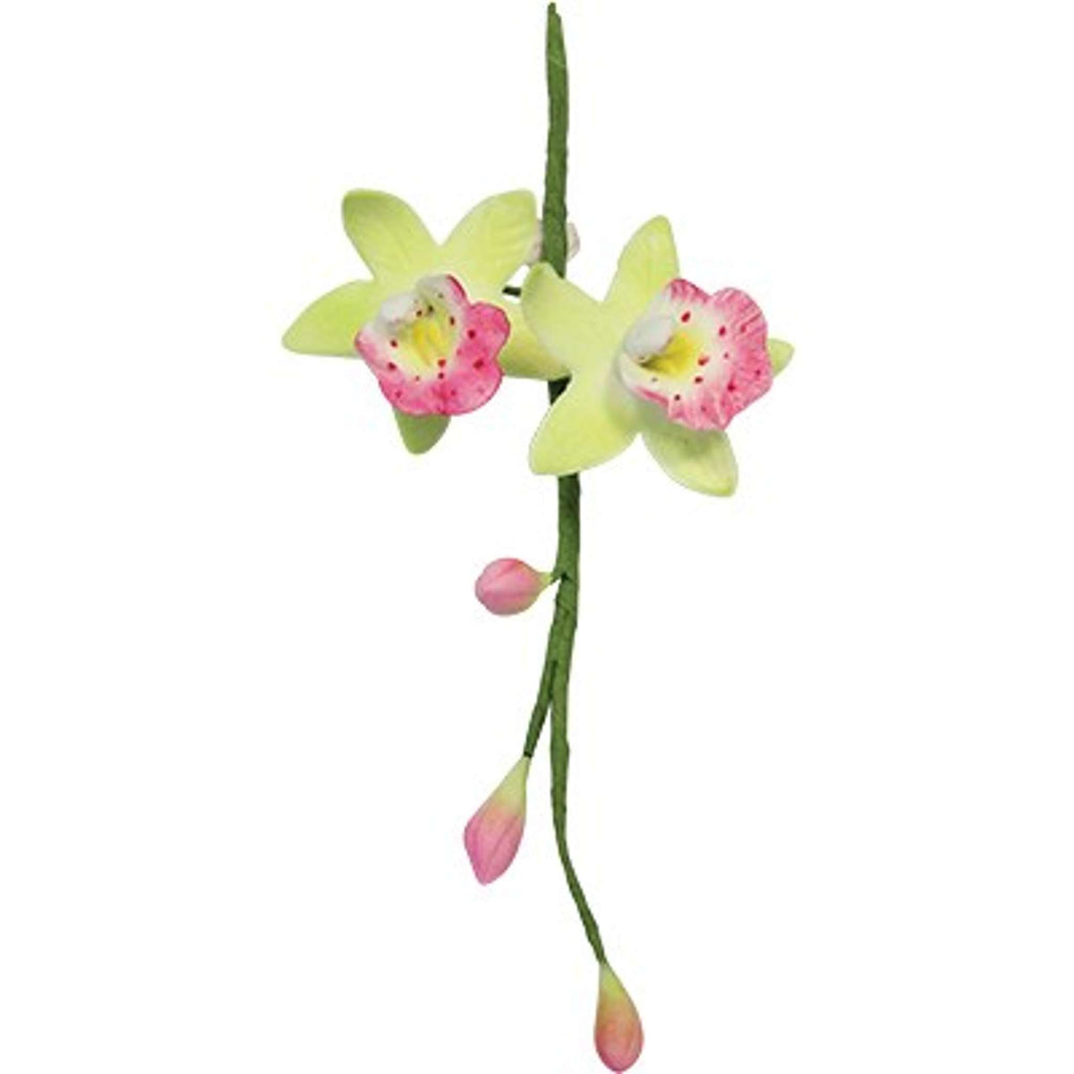 Medium Cymbidium Orchid Fondant Cutters Set Of 2