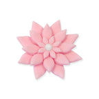 Découpoirs originaux - Ensemble de 4 Marguerites Mini/Petite/Moyenne/Grande