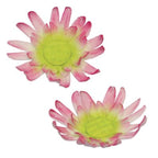 Small Daisy Fondant Cutters Set Of 2