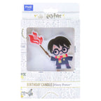 Harry Potter Karakterkaars, Harry Potter
