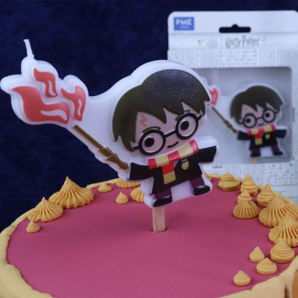Harry Potter Karakterkaars, Harry Potter