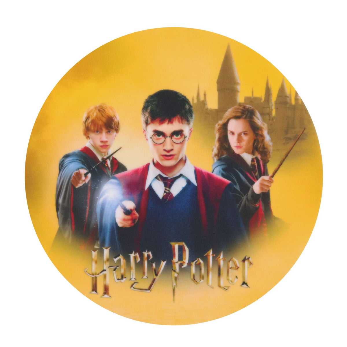 Harry Potter Edible Cake Topper  (14g)