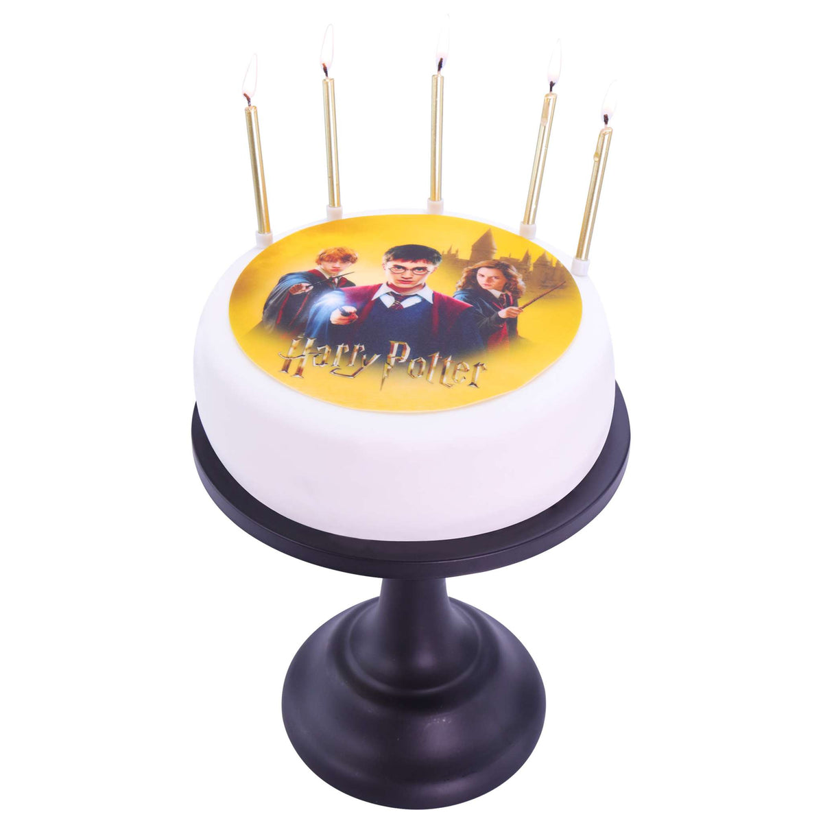 Harry Potter Edible Cake Topper  (18g)