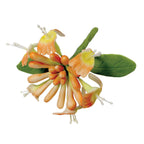 Blumenausstecher - S/M/L Geißblatt, Set aus 3 Stück
