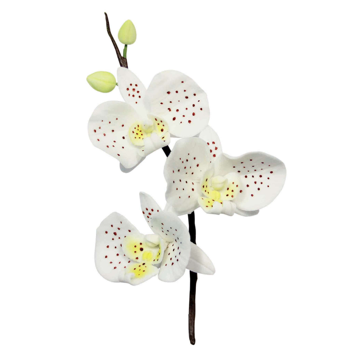 Moth Orchid Fondant Cutters Set Of 3