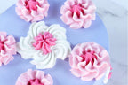 Jem Düsen-Set - Cupcakes Collection, Packung mit 3