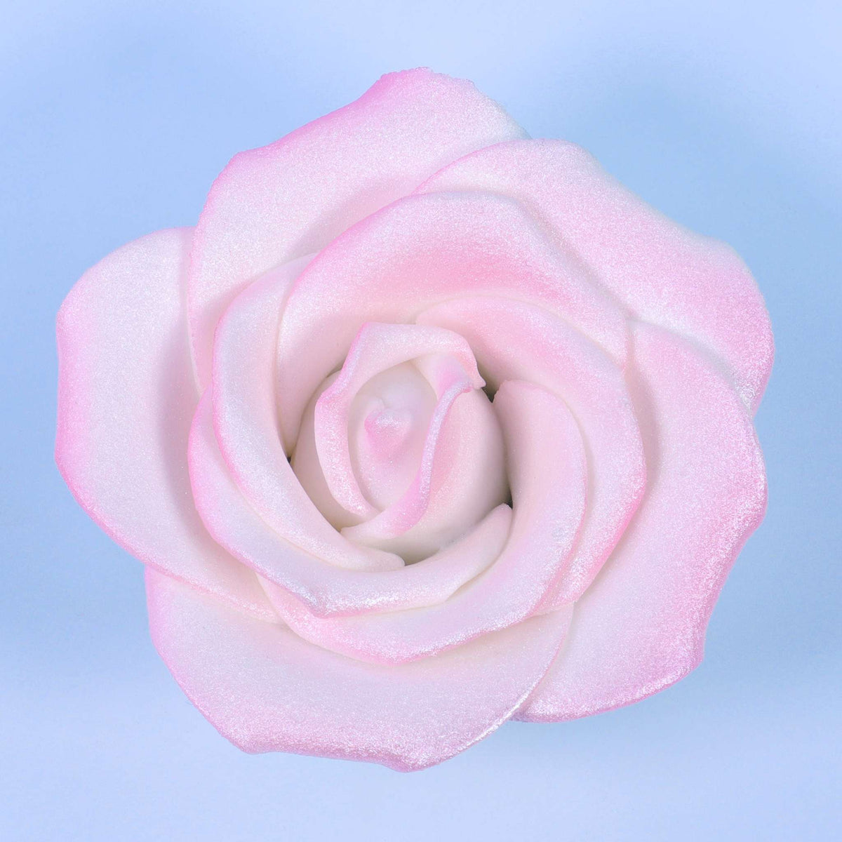 Weiße Zuckerrose, 90mm