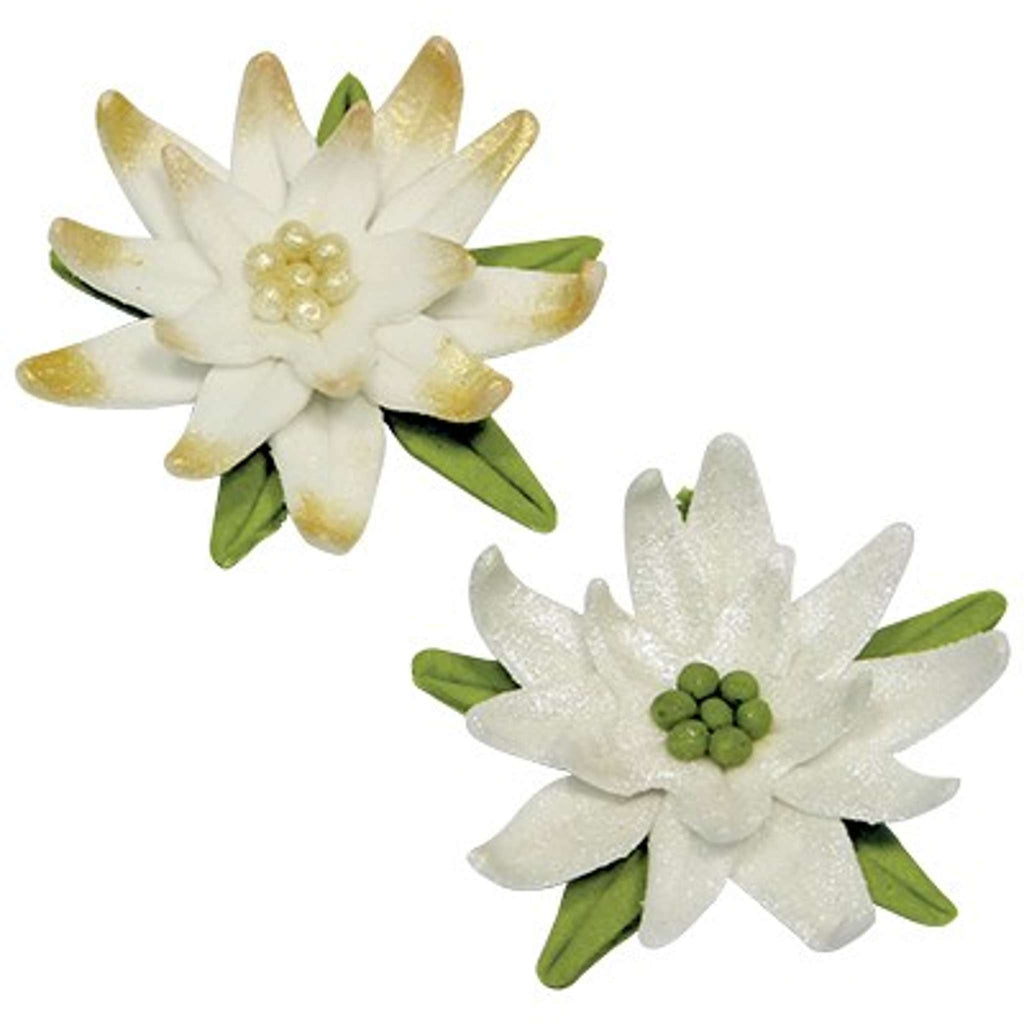 Découpoirs en Acier Inoxydable - Calice de Rose / Poinsettia, Ensemble de 3