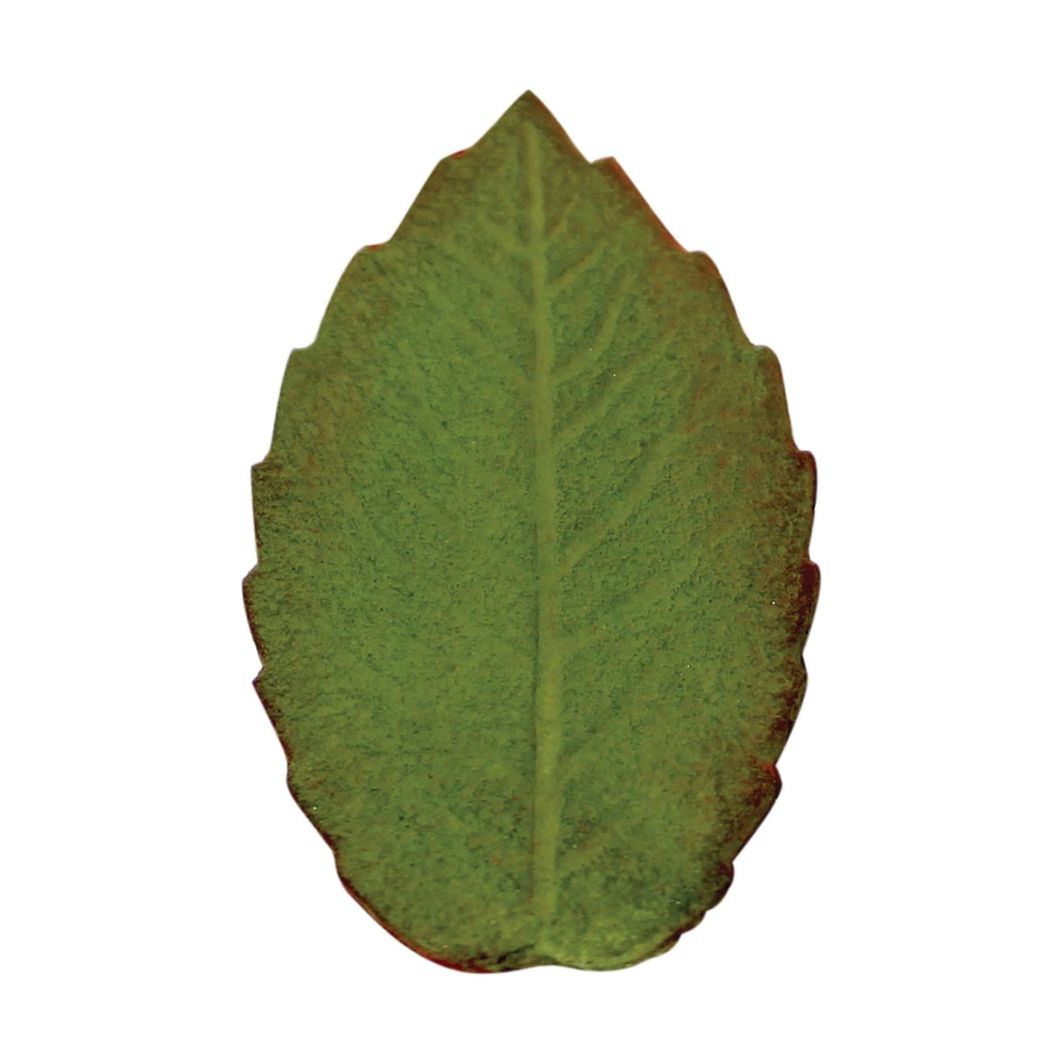 Large Veined Rose Leaf Plunger Cutter (40mm)