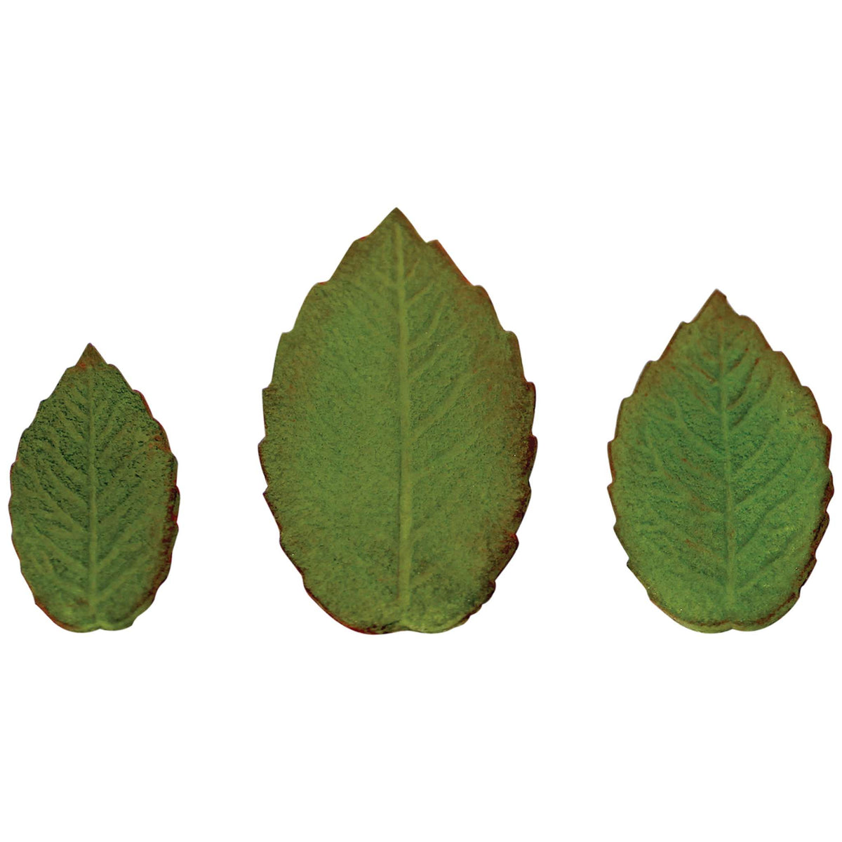 Emporte-pièces à poussoir - Ensemble de 3 Feuilles de Rose à nervures