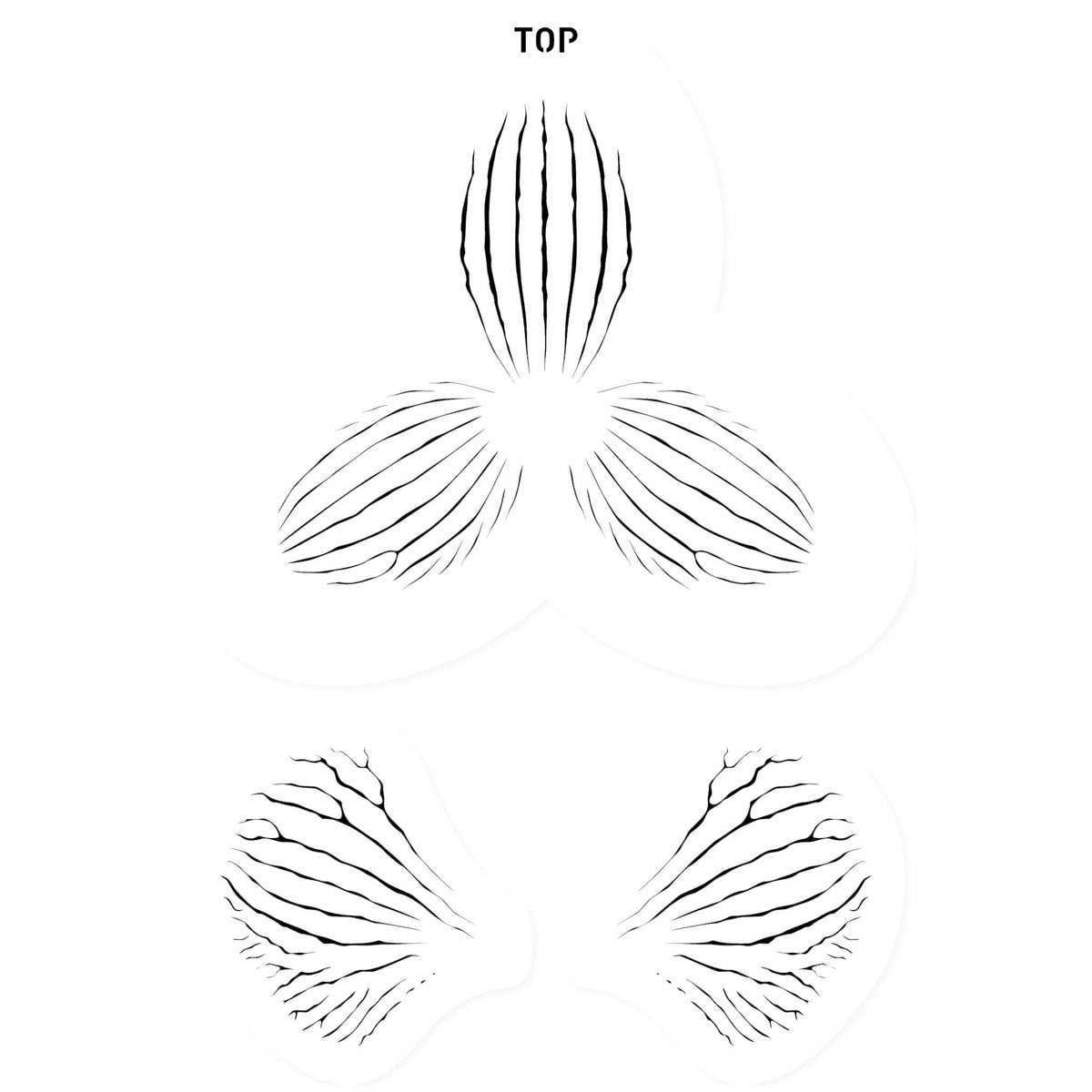 JEM Schablone - Orchideenstreifen, 3-teiliges Set