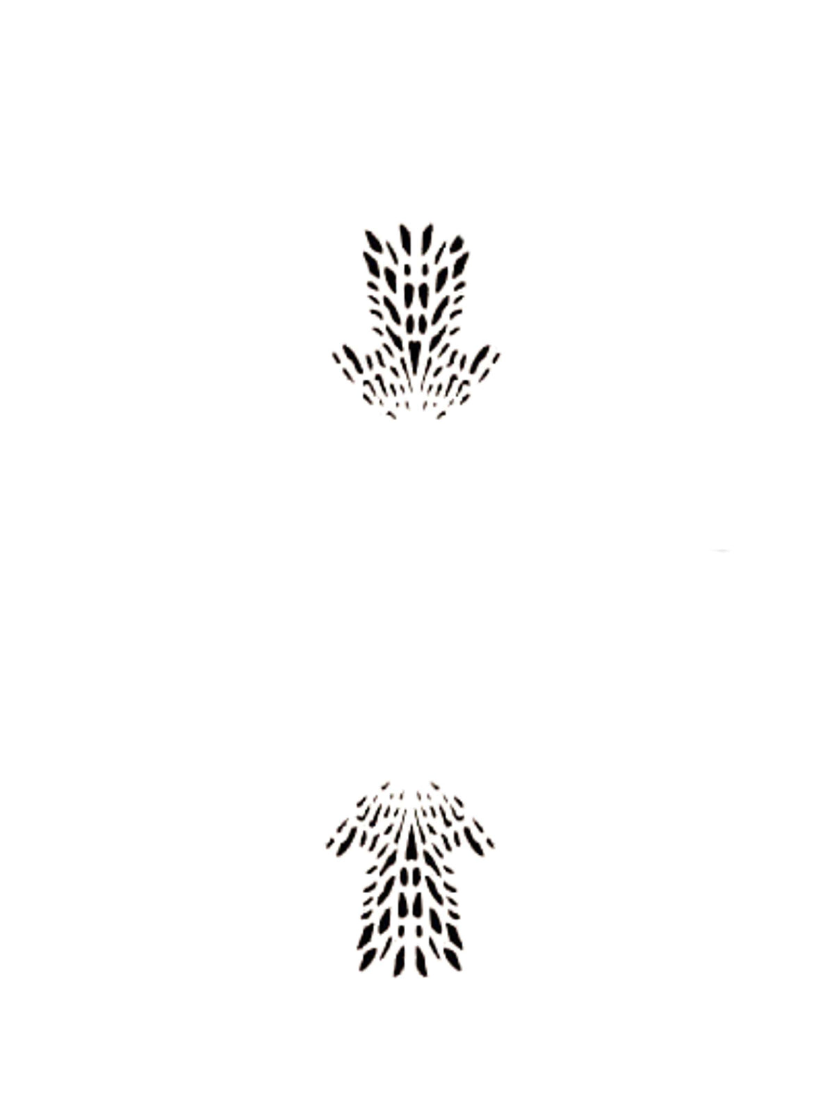 JEM Schablone - Azalee, 2-teiliges Set