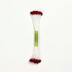 Burgundy Plain Stamen Medium