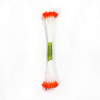 Orange Plain Stamen Medium