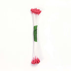 Pink Plain Stamen Medium
