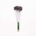 Lilienstempel - Braun
