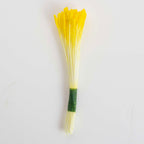 Lelie Stamper - Geel