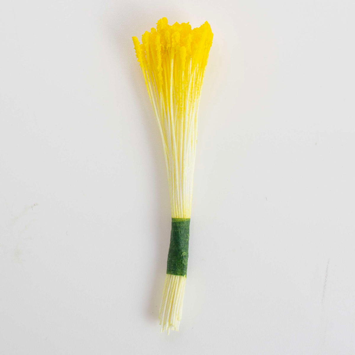 Lelie Stamper - Geel