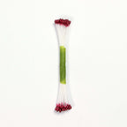 Burgundy Pearl Stamen Medium