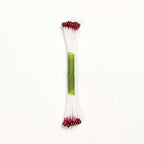 Burgundy Pearl Stamen Medium