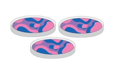 Step 5 image